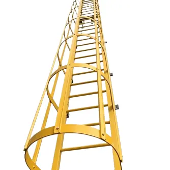 Steel cage ladder